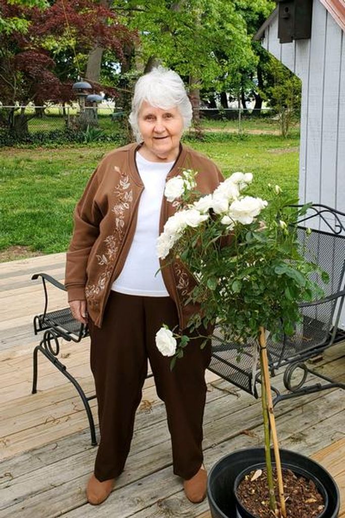 Evelyn S. Zielke Profile Photo
