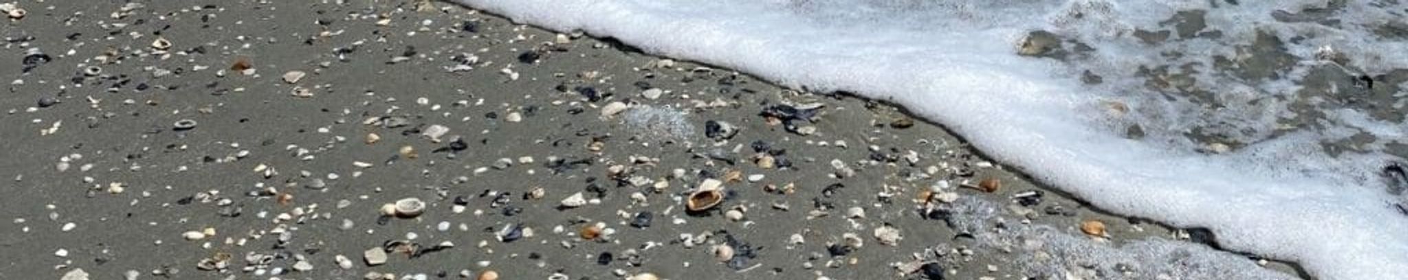 Cover for Ralph Wayne Bassler's Obituary