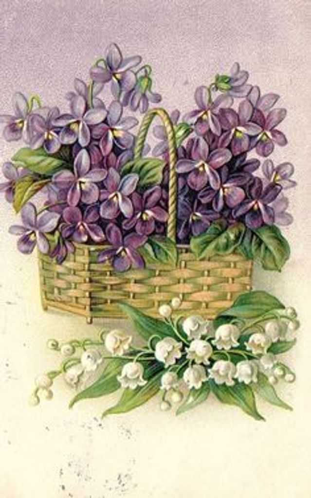 Marie Windle Profile Photo