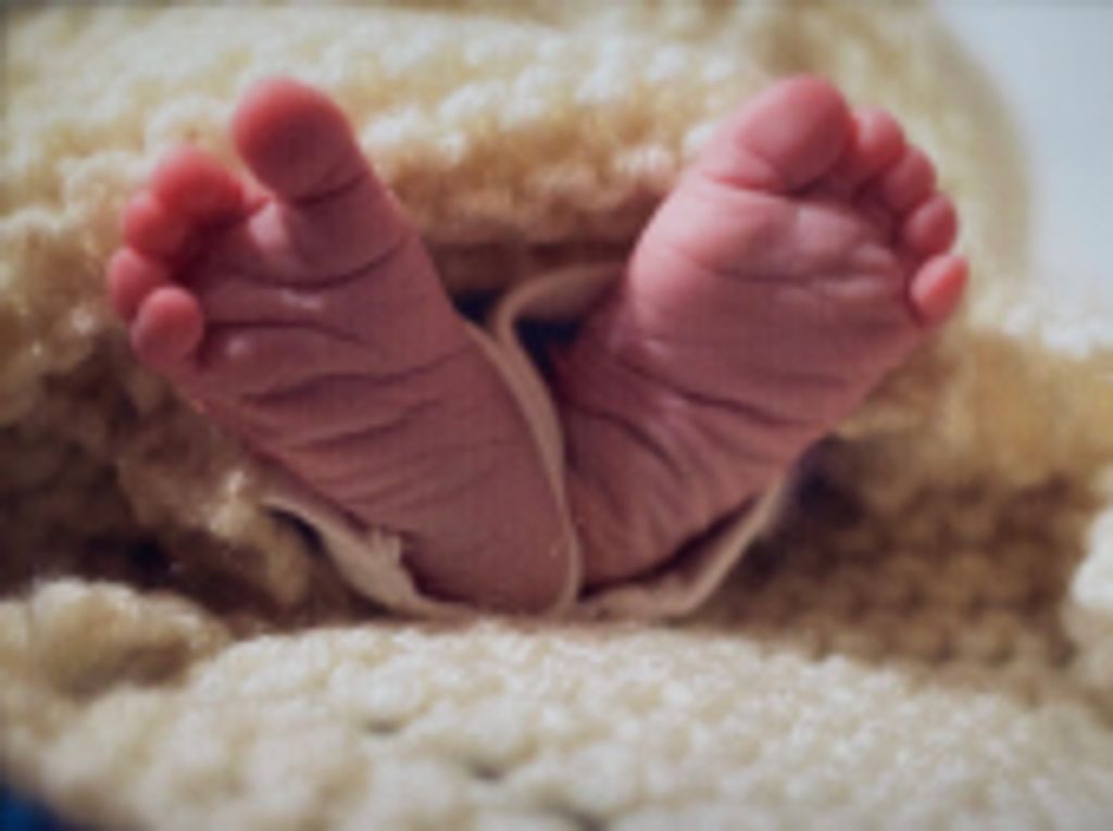 Brooks Walker Middleton