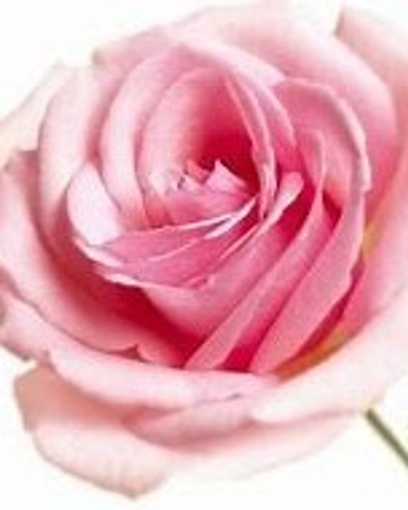 Billie Marie Holcomb Knight Profile Photo