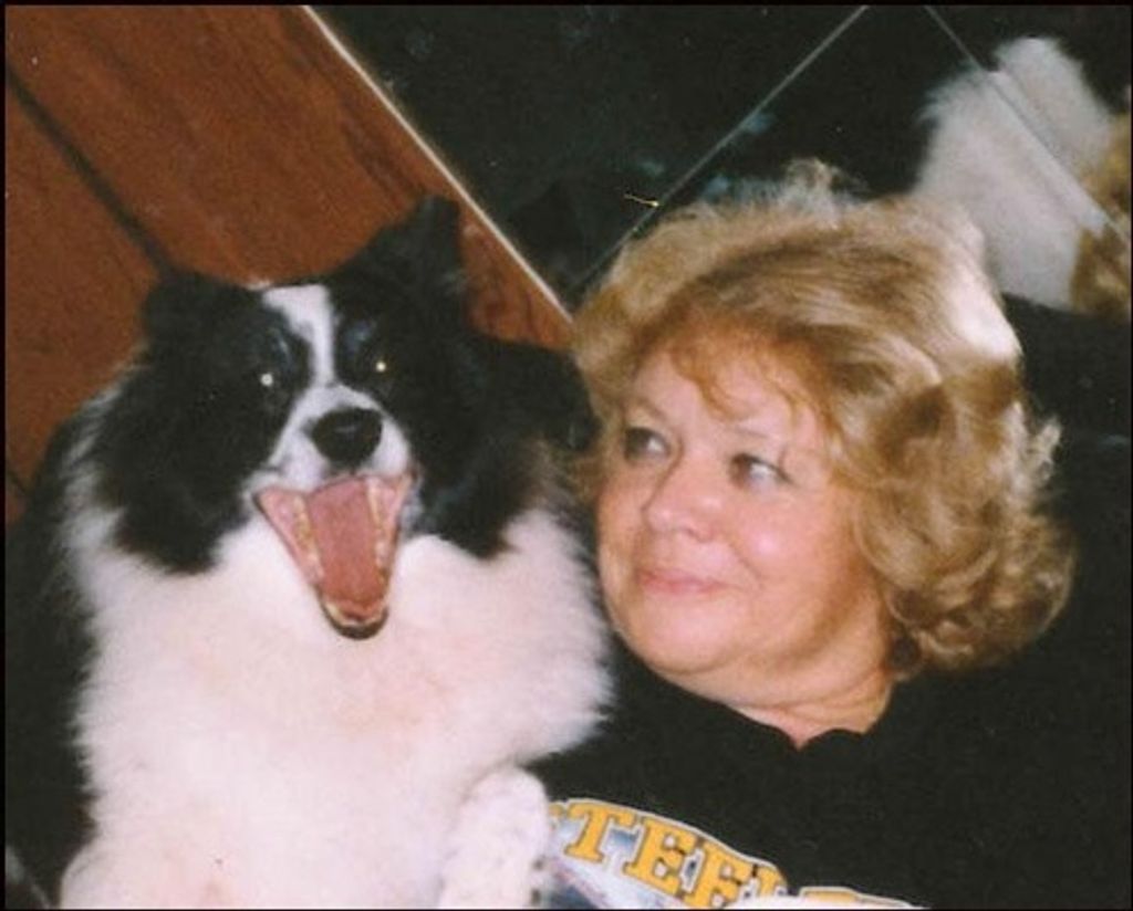 Laura L. Petrich Profile Photo