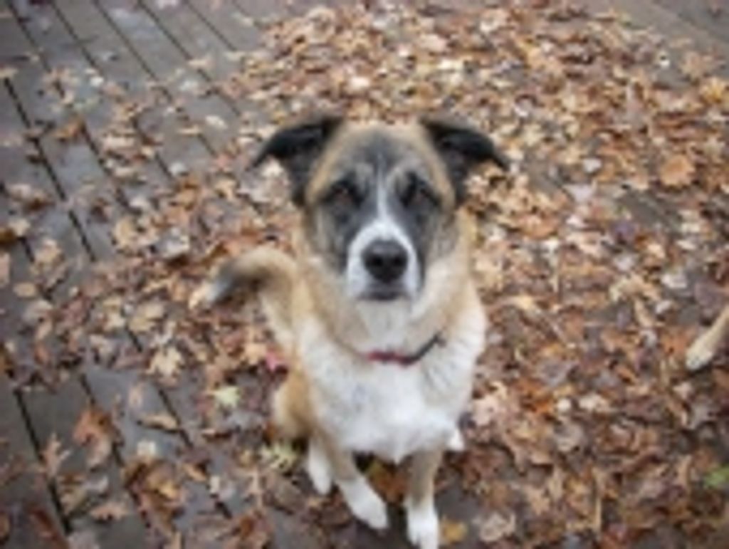 Luna Balloona Rich Profile Photo