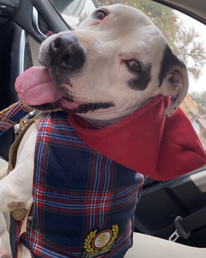 Ziggy Kenney Profile Photo