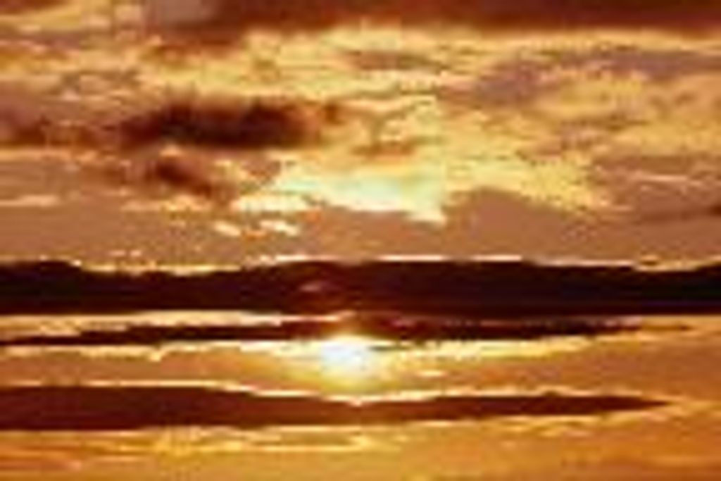 Richard Wayne Salisbury