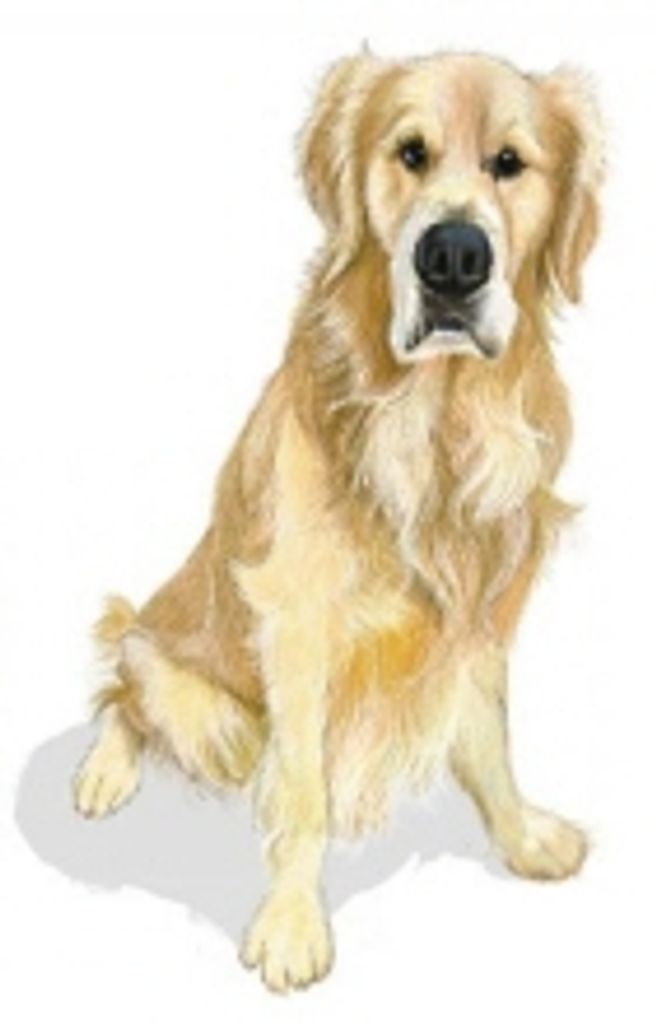 Lance Madden Profile Photo