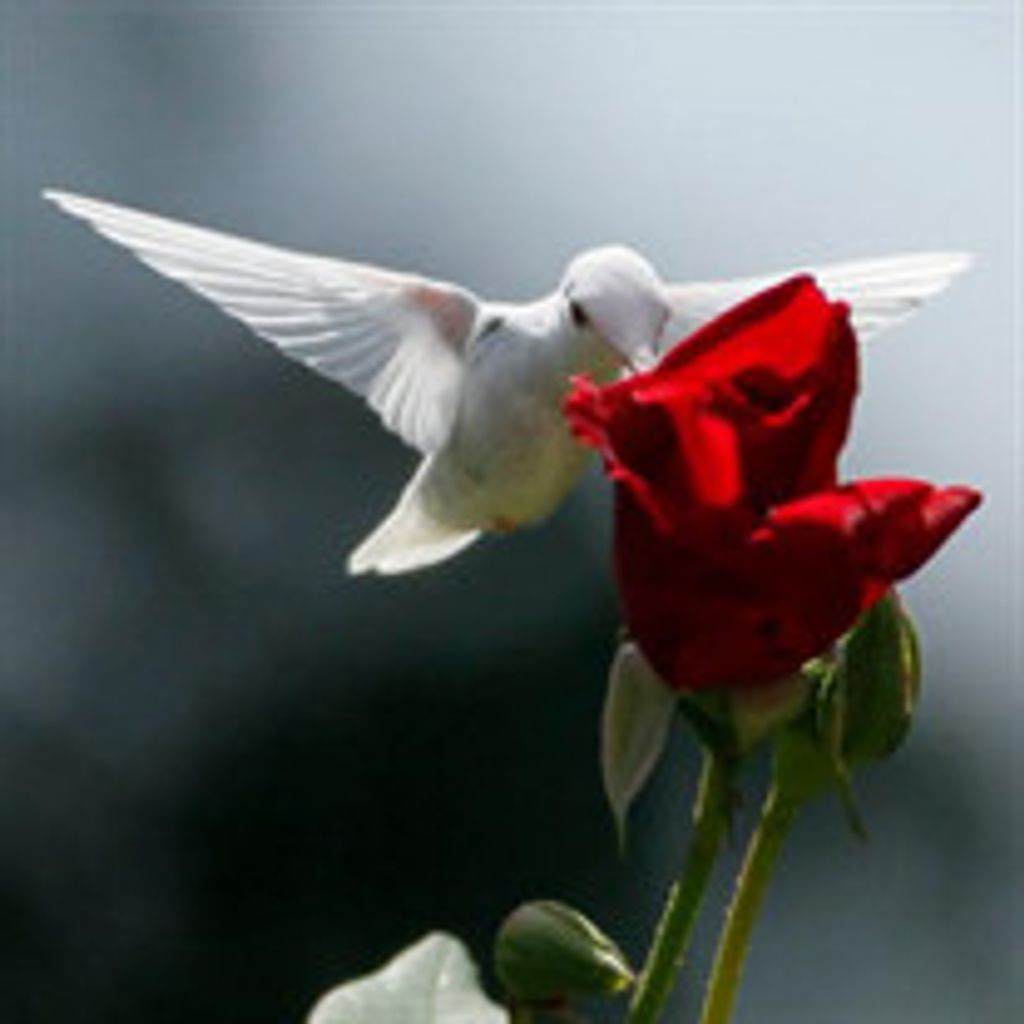 Mary L. Lavine