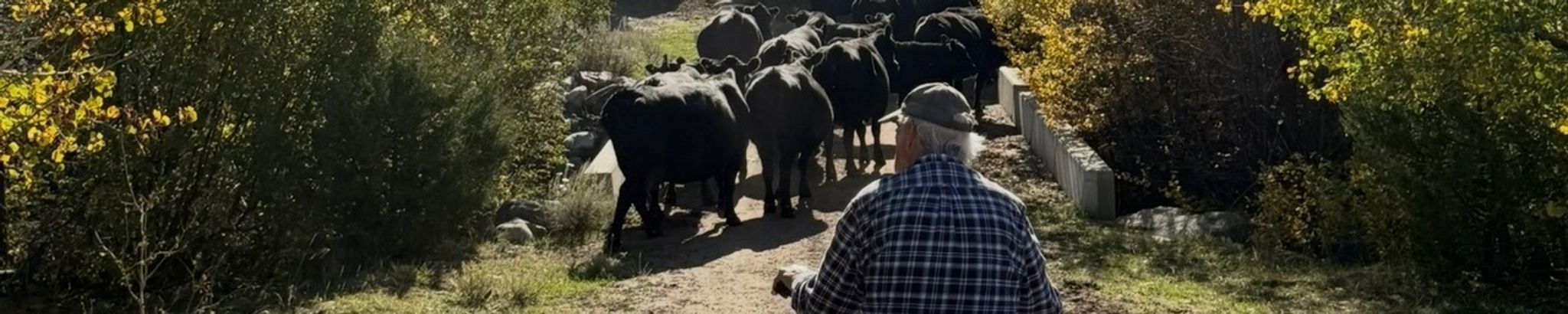 Cover for Barry Ray Carter's Obituary