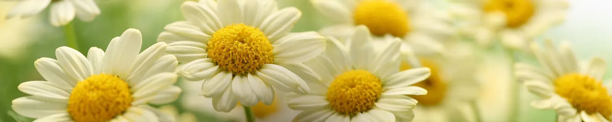 Cover photo for Edna Mae Cragin's Obituary