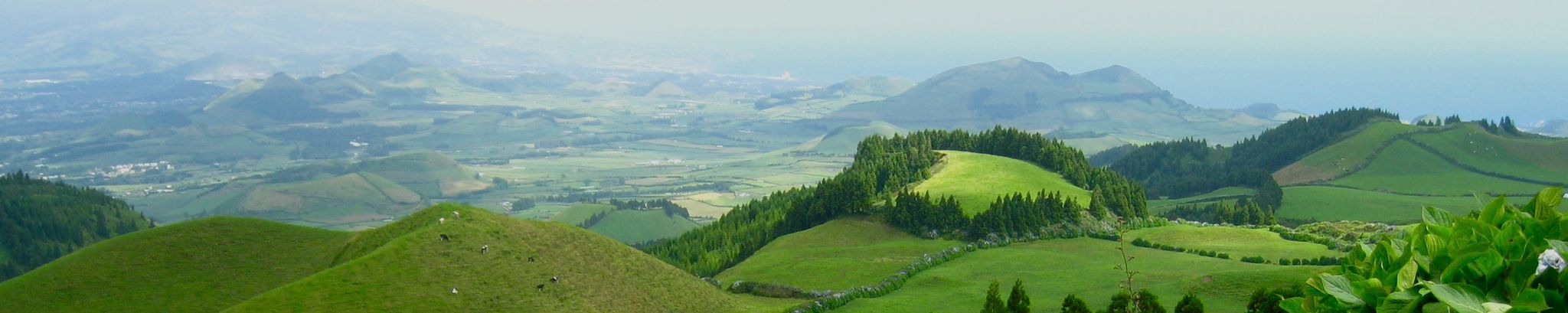 Cover photo for Rosemary  (Norton) Morris's Obituary