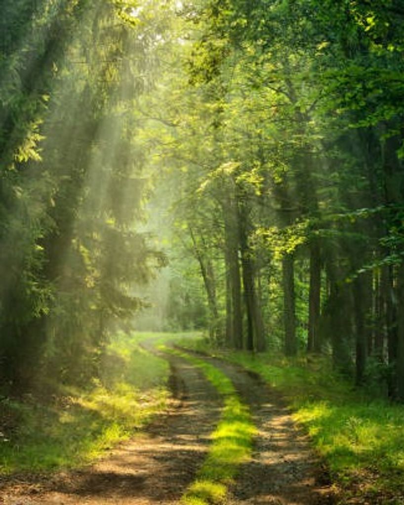 Robert T. Trissel Profile Photo