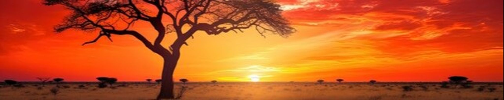 Cover for Daniel Robert Young's Obituary