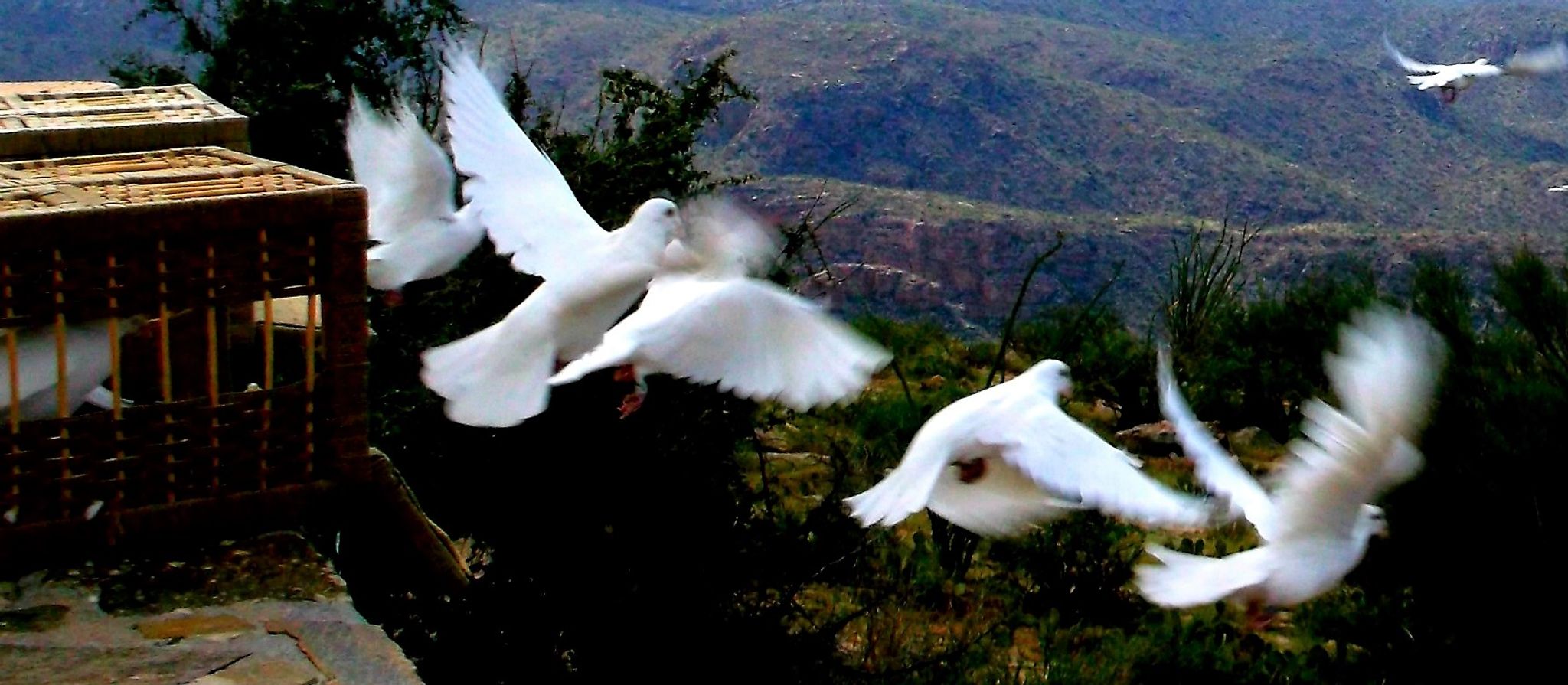 Cover photo for Kevin T. Dunn's Obituary