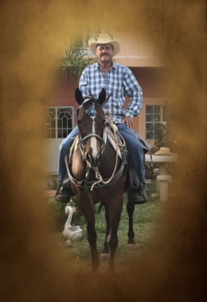 Adolfo Escamilla Salinas