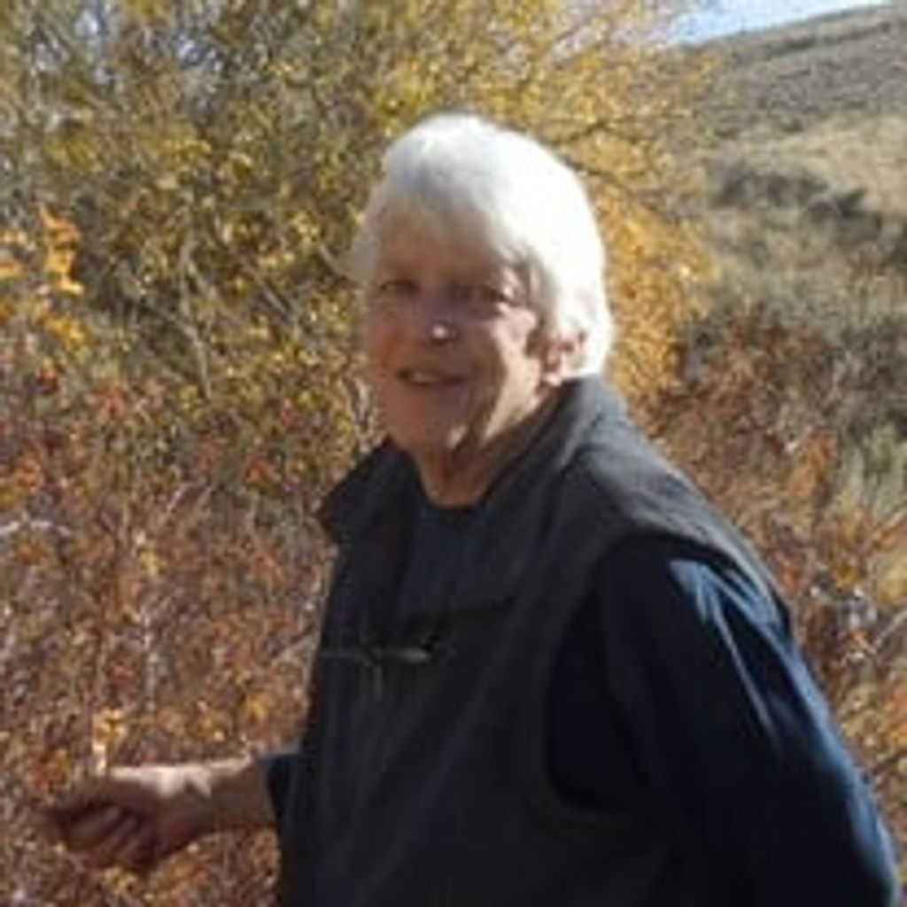 Diana Palmer Profile Photo