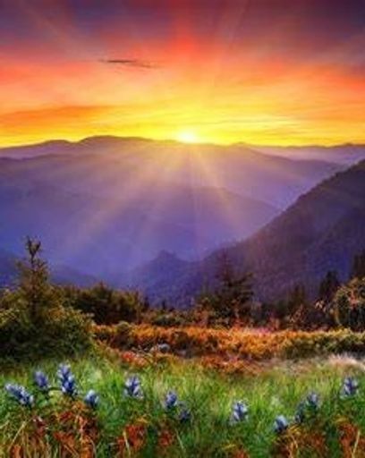 Naomi Dunbar's obituary image