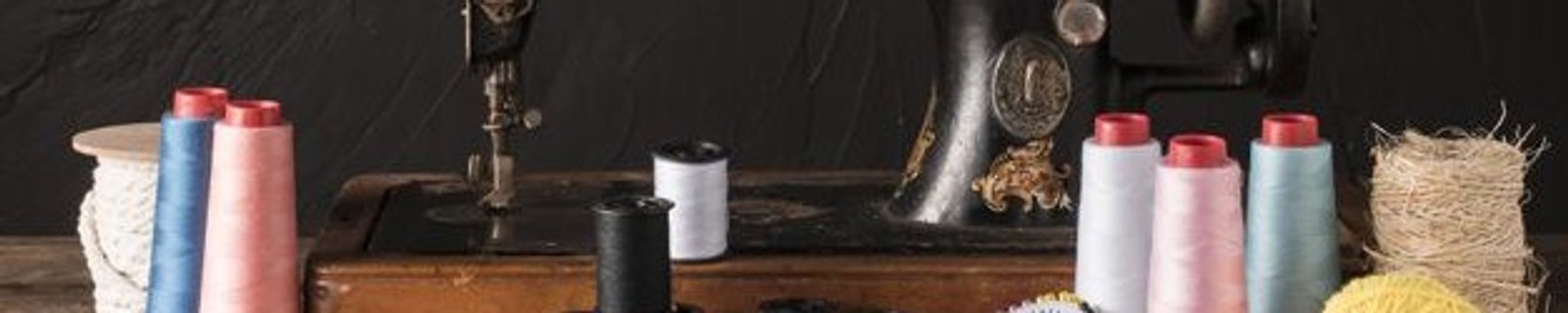 Cover for Dixie Lee Ebrite's Obituary