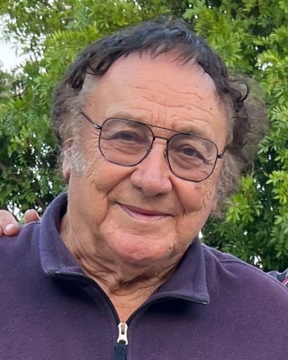 Stanojlo Raskovic's obituary image