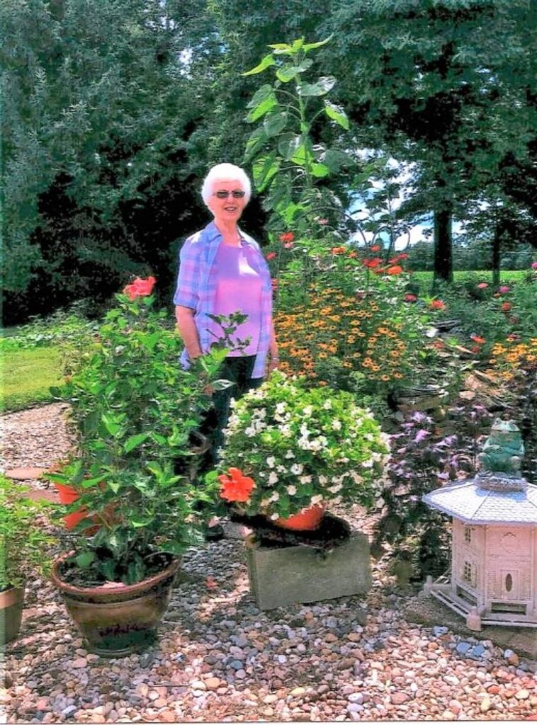 Marjorie Hazel Shinkle