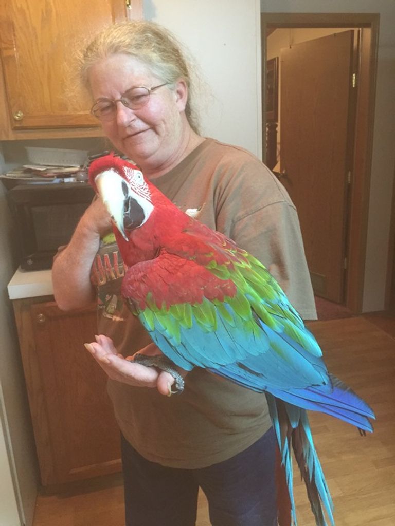 Pamela Jean Sabatine