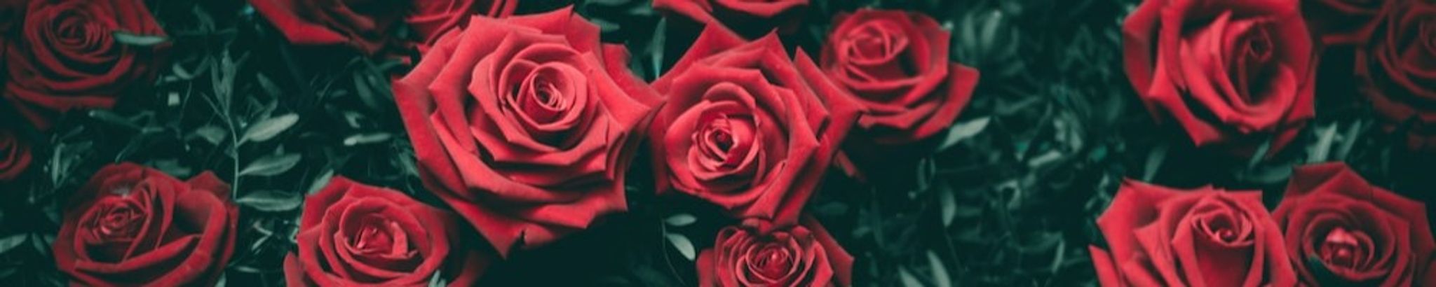 Cover photo for Nancy Jane "Janie" Tannehill Burks's Obituary