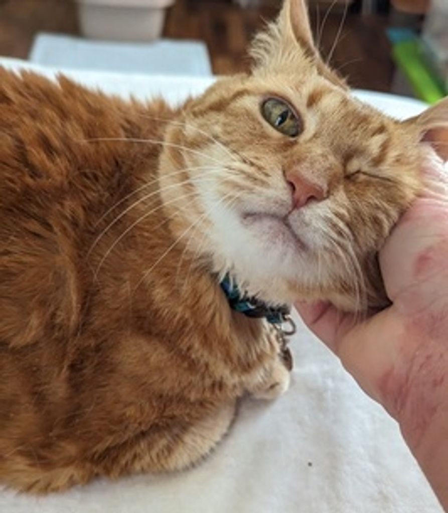 Itty West Profile Photo