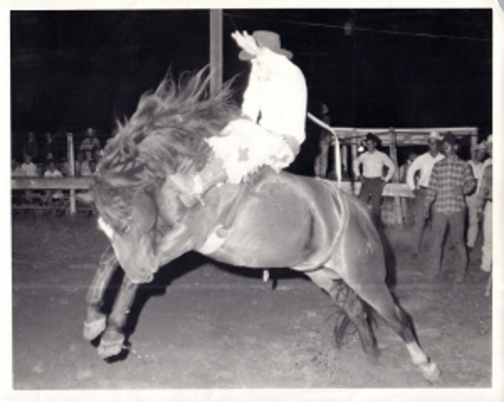 Francis Paul Tullier photo gallery image 1 of 58
