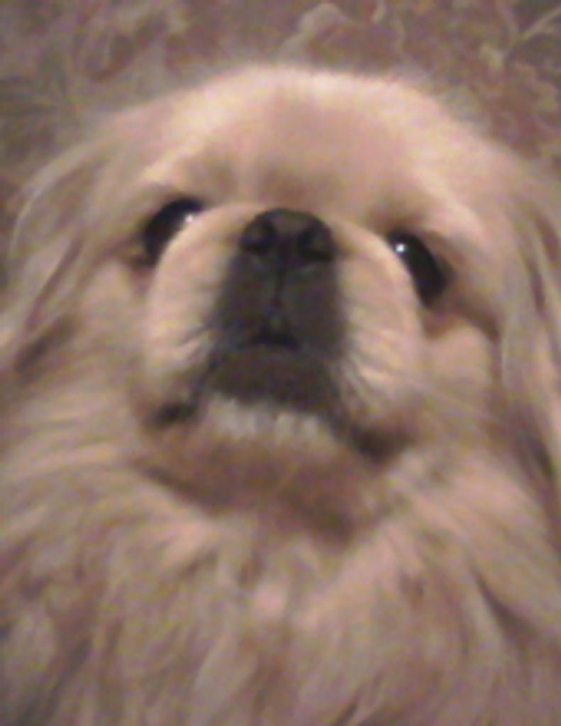 Otis Ryan Stewart Profile Photo