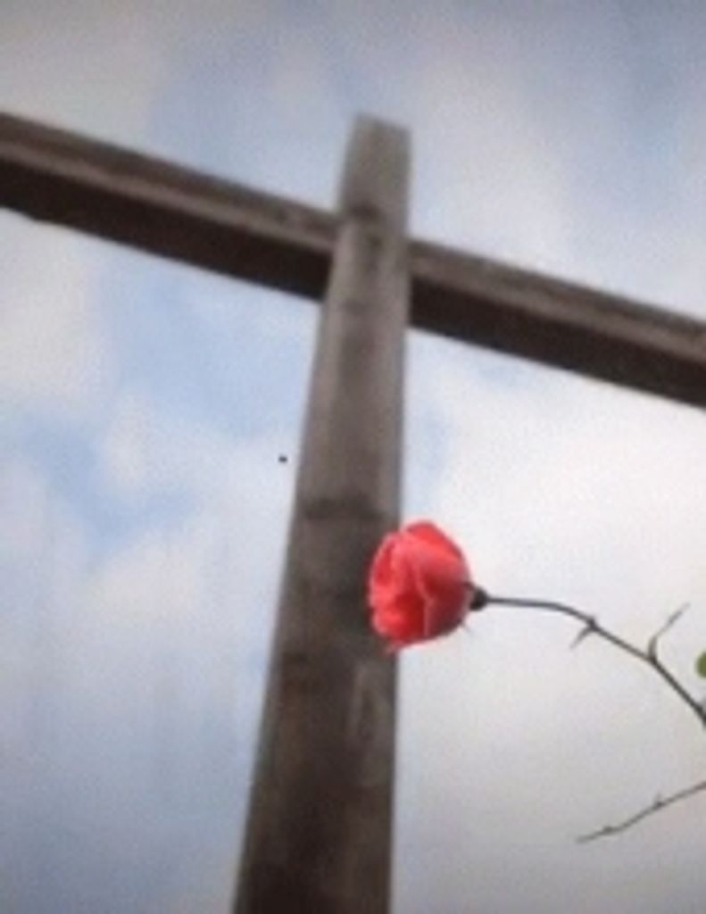 Ila Mae Harris Mcdermott -Gwfh