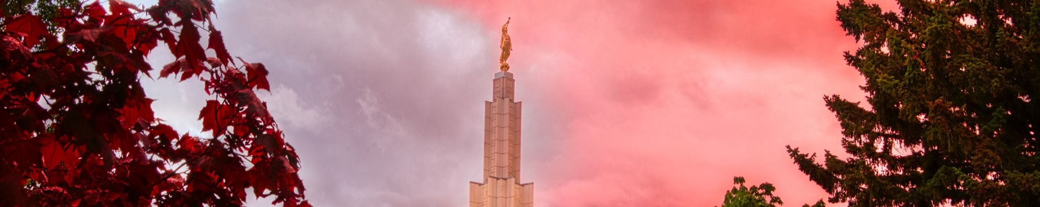 Cover for Janet Fern Clinkscales's Obituary