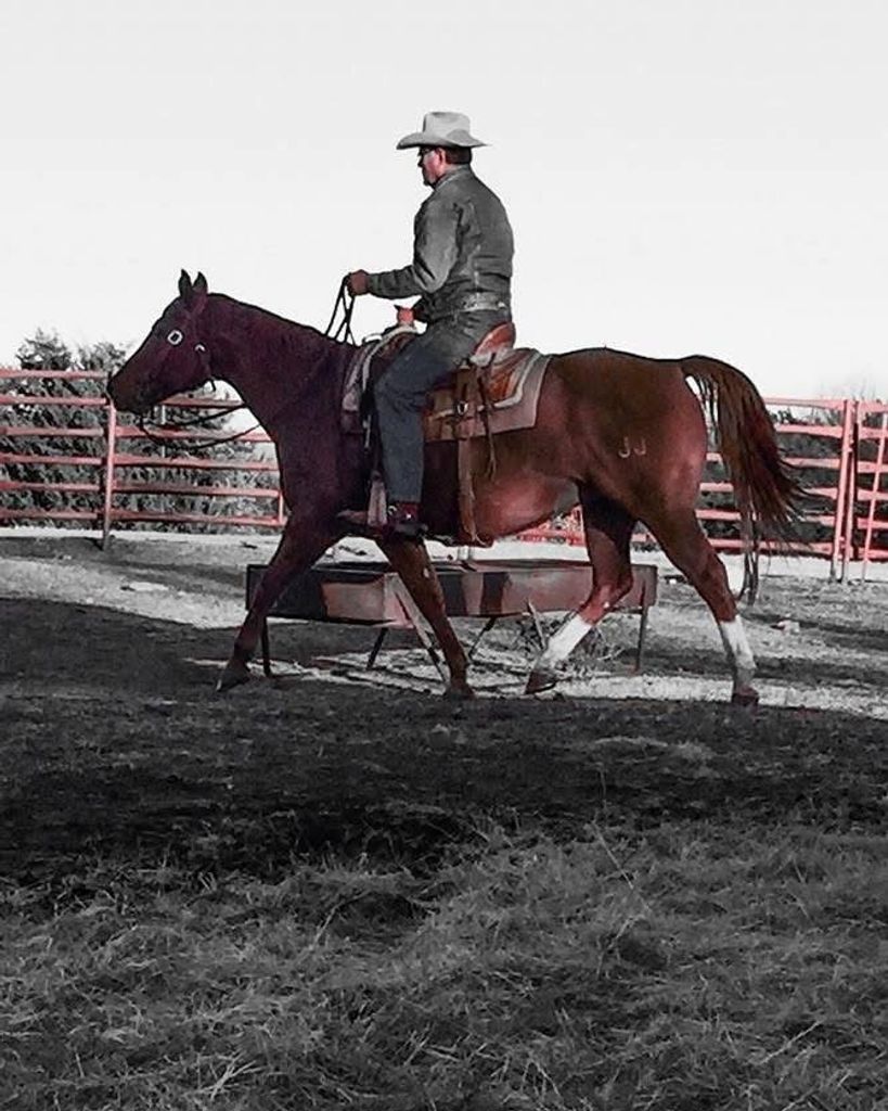 Mark Dwayne Randol Profile Photo