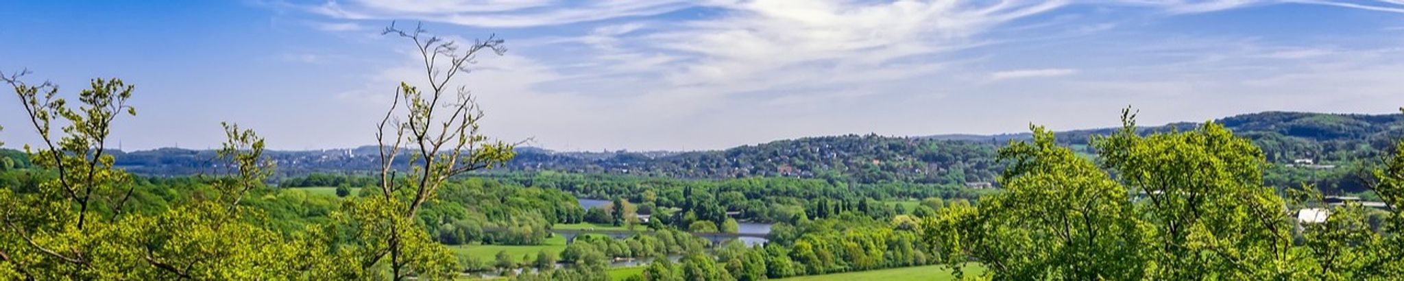 Cover for Joanne M. Burns's Obituary