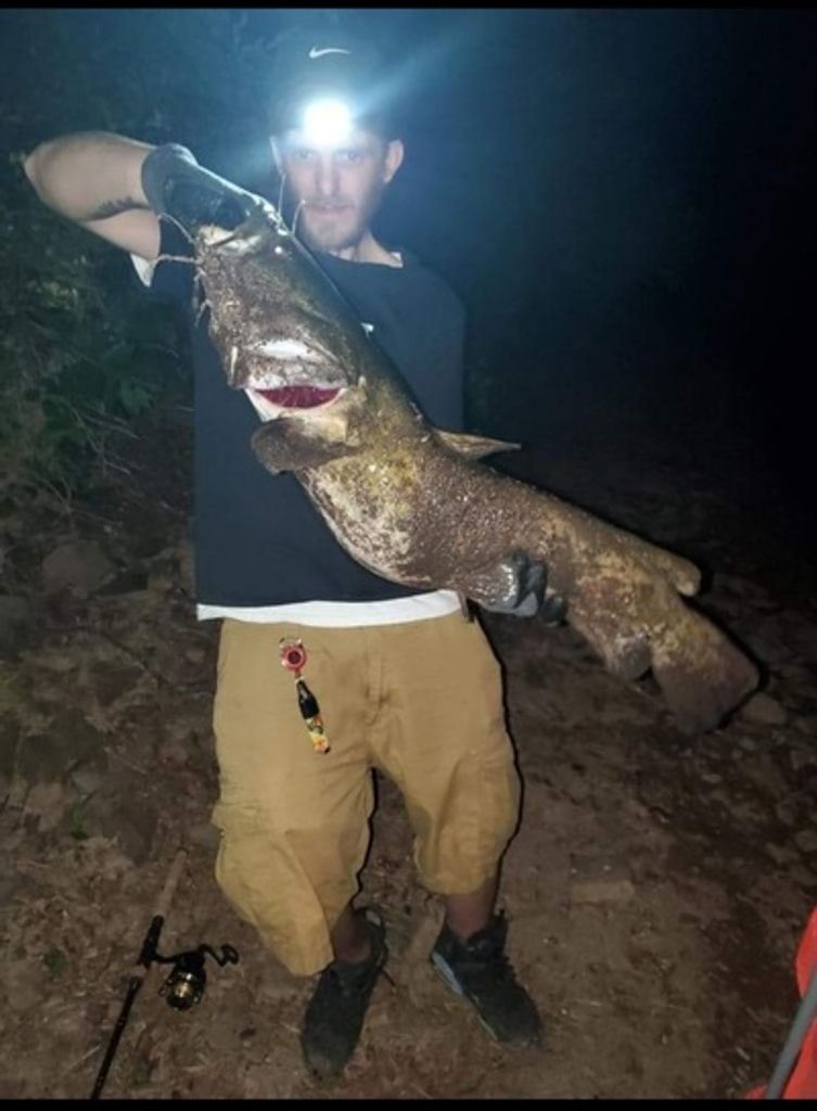 Douglas W. Carey, Jr. Profile Photo