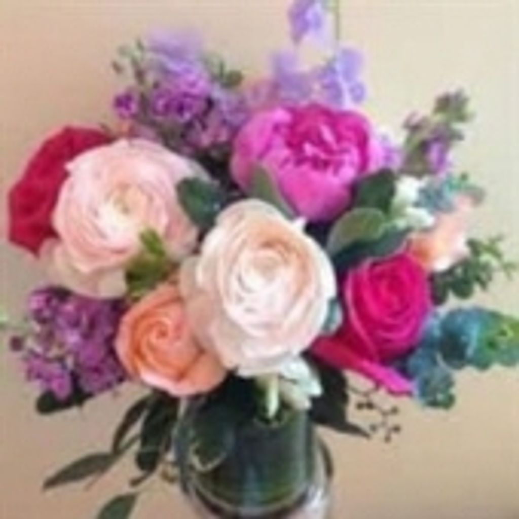 Lee Patricia Plunkett