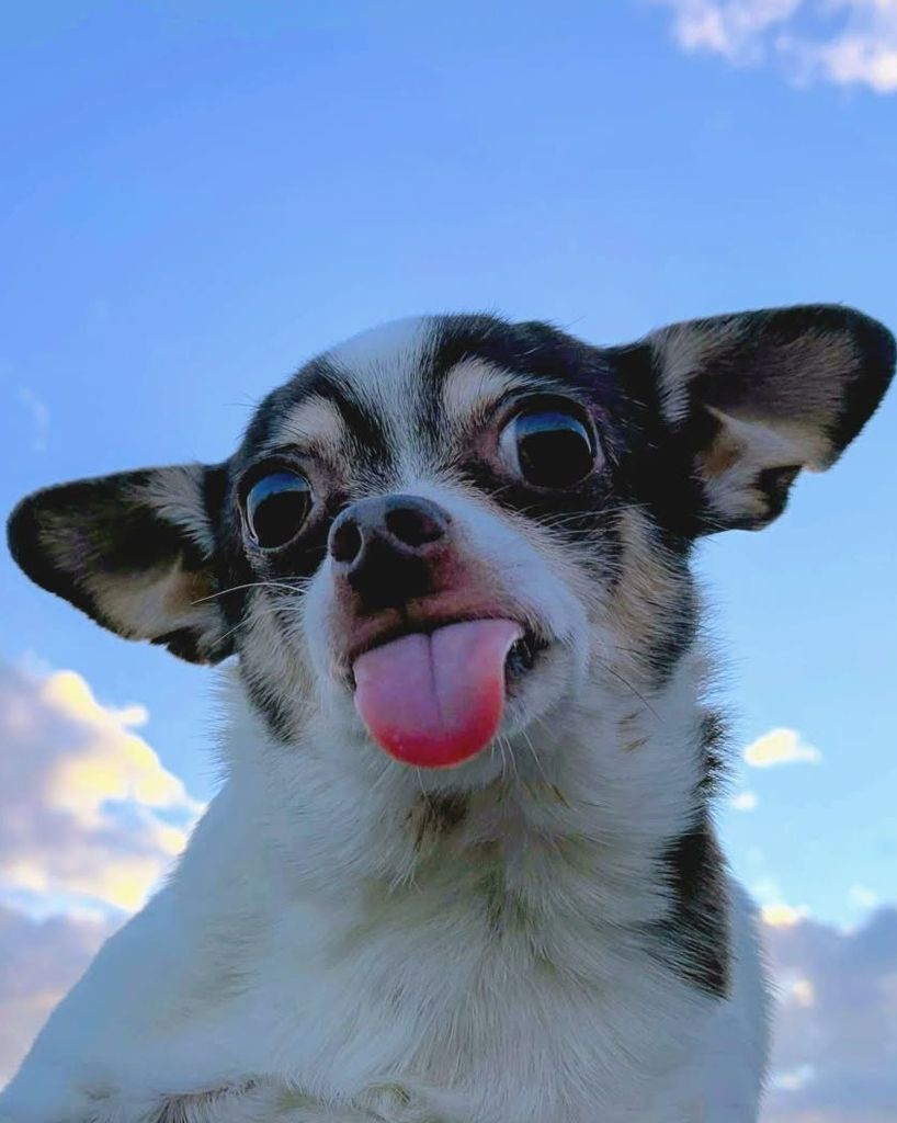 Wallee Guy Profile Photo