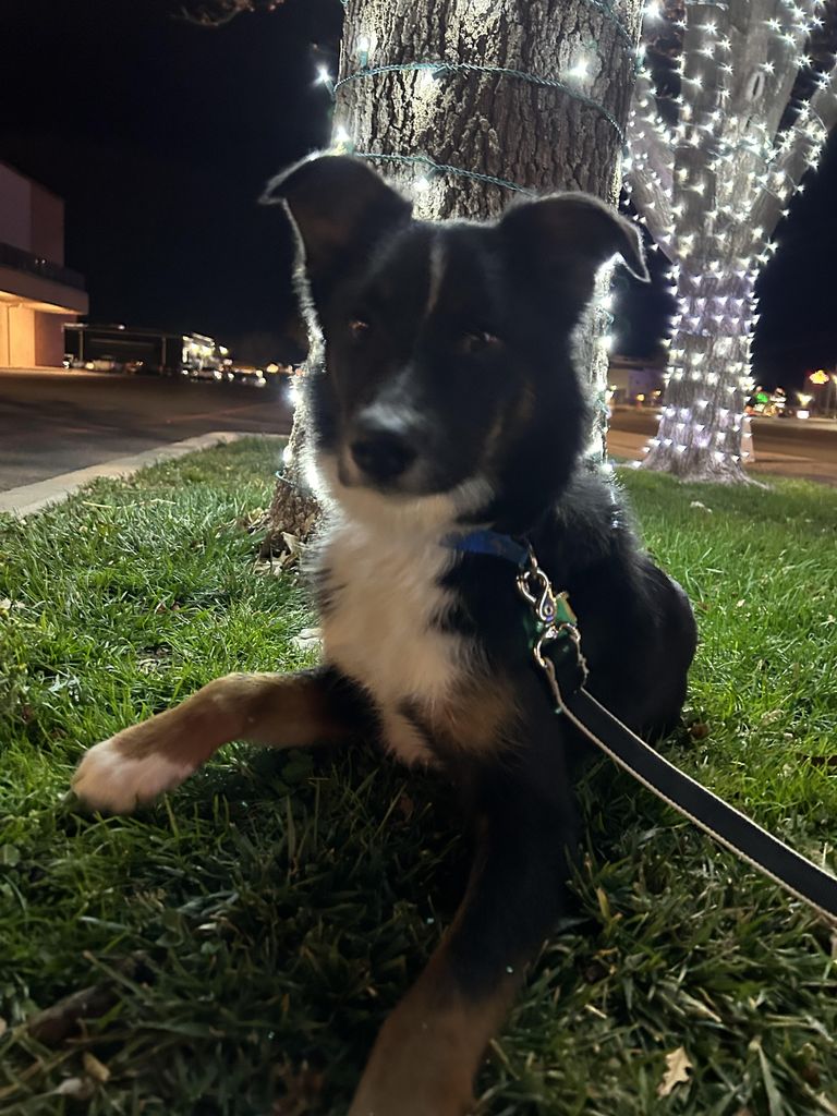 Astro Profile Photo