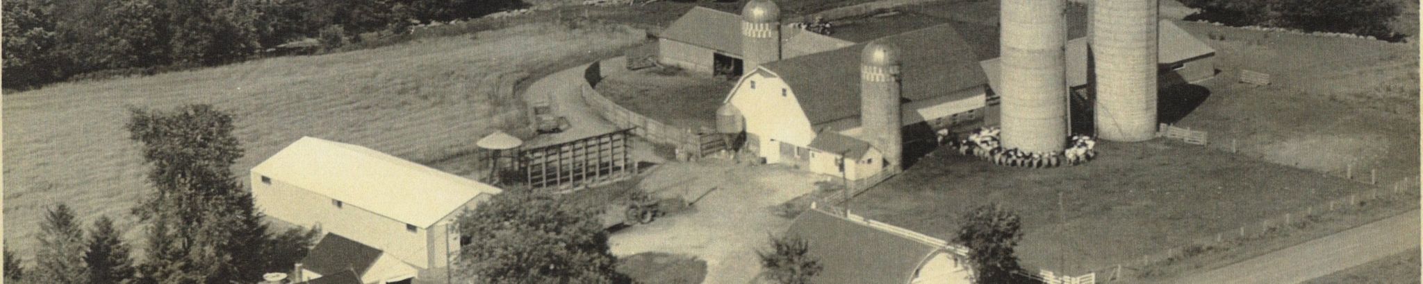 Cover for Paul Conrad Ramberg's Obituary