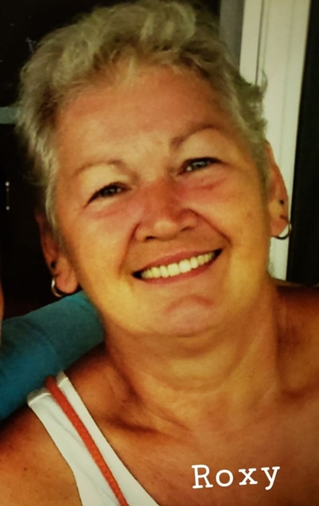 Roxann Phipps Stout Profile Photo