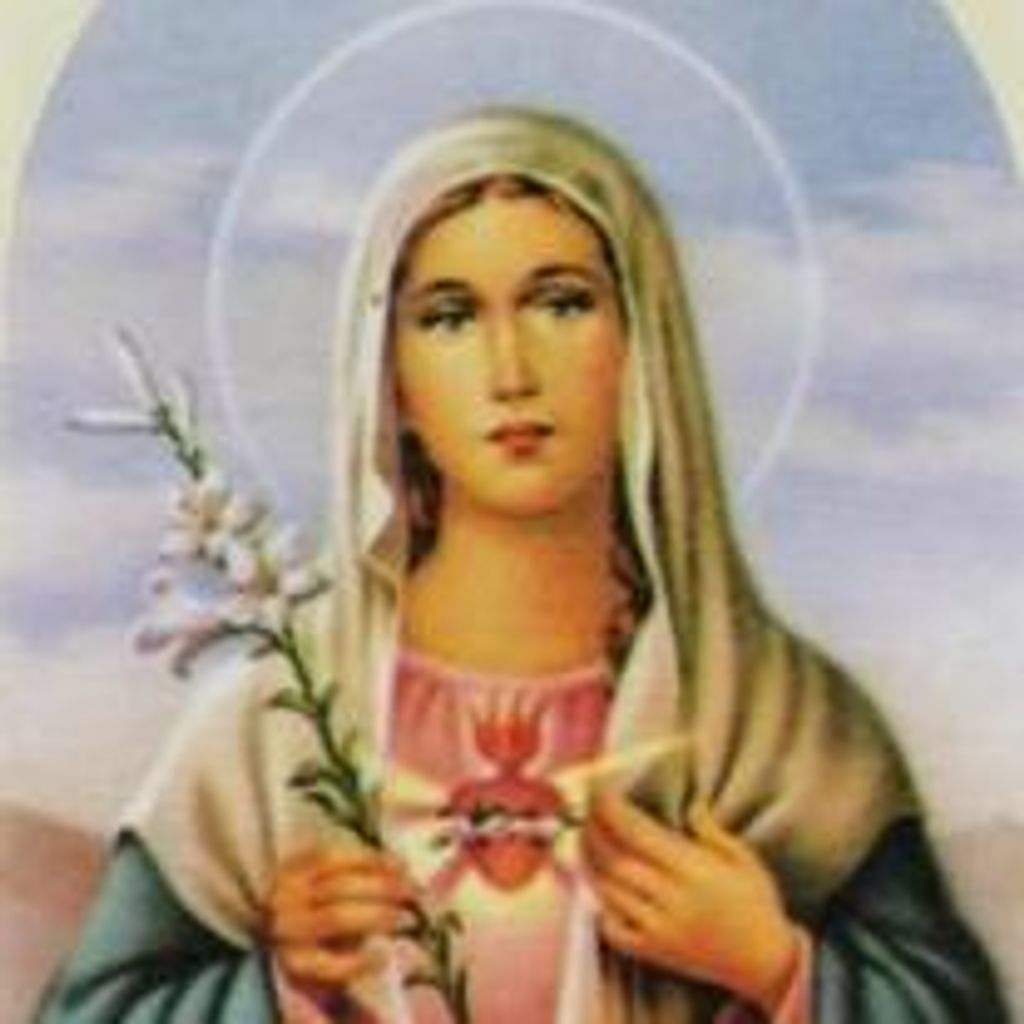 Ms Elizabeth Synott Profile Photo