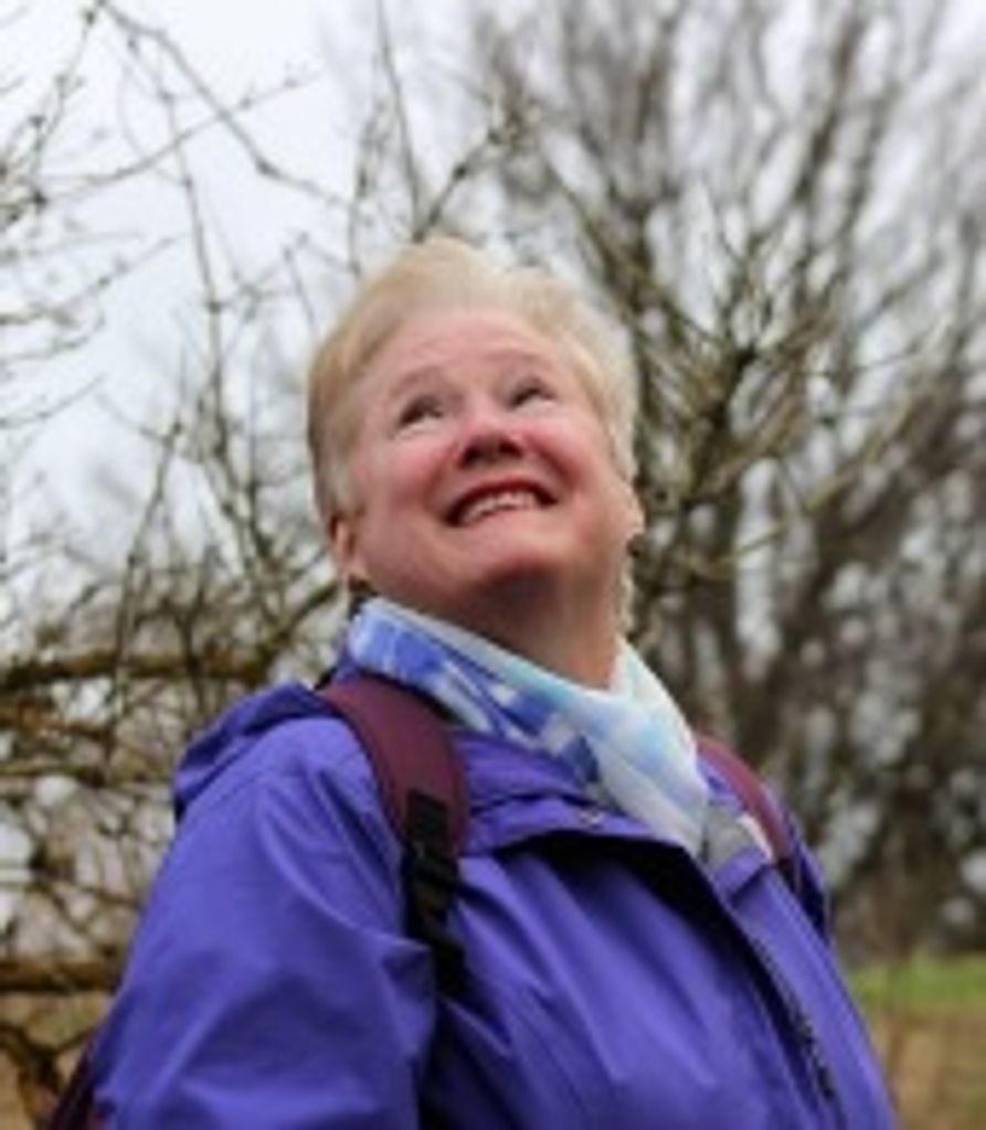 Mary Elizabeth Hunter-Tabassi