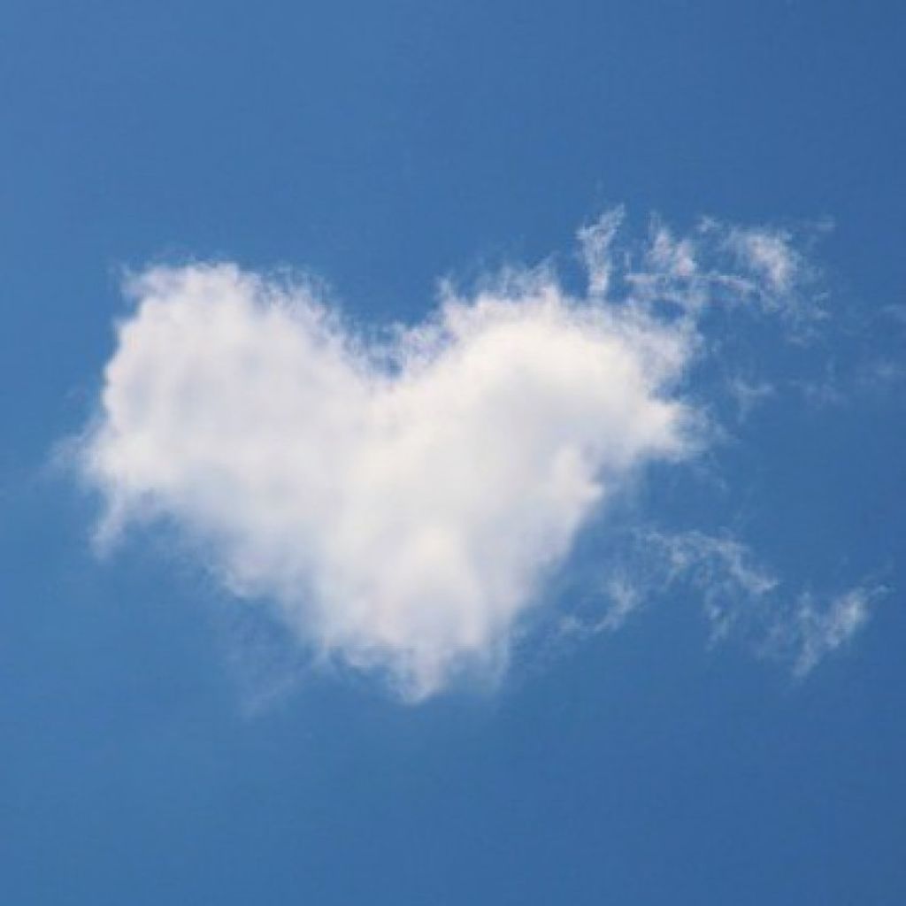 Thomas G. Rauenzahn Profile Photo