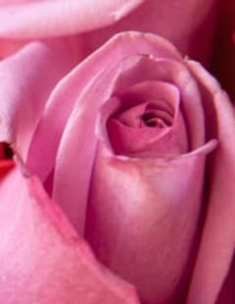 Nadine June Kilman Abbott Profile Photo