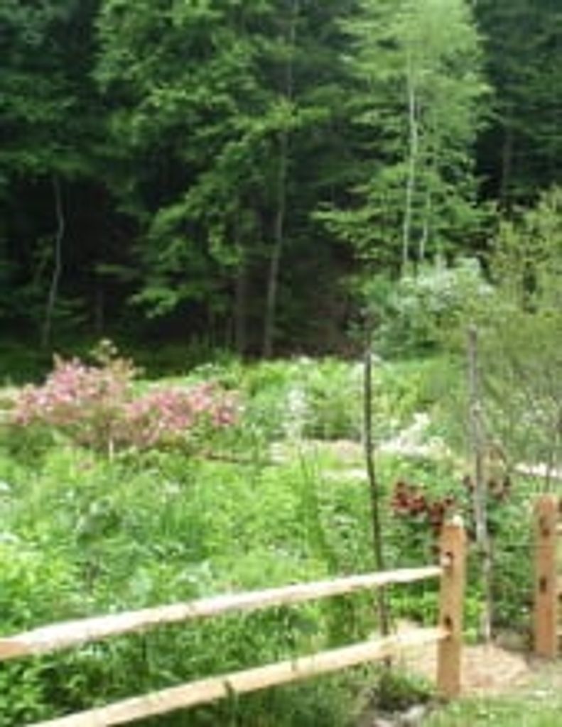 Jean Louise Pottinger