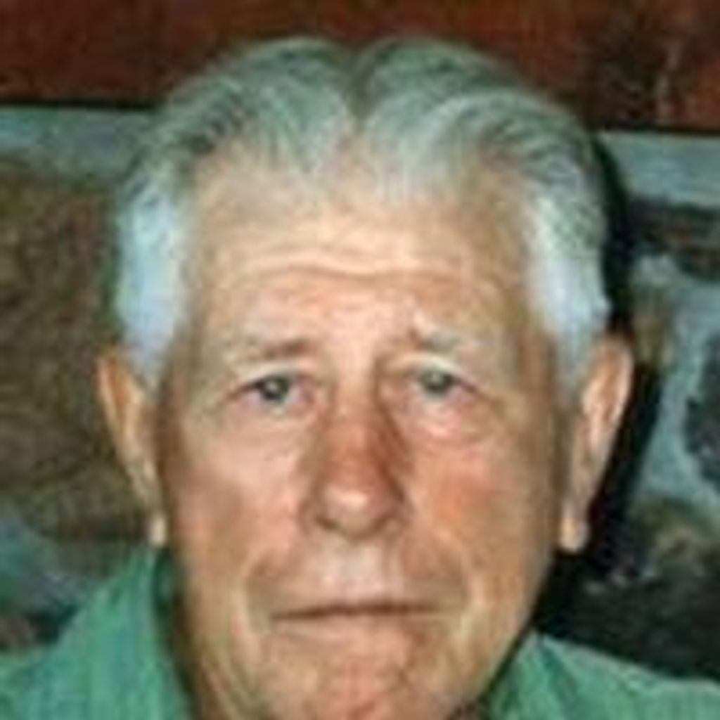 Henry Wallenvein