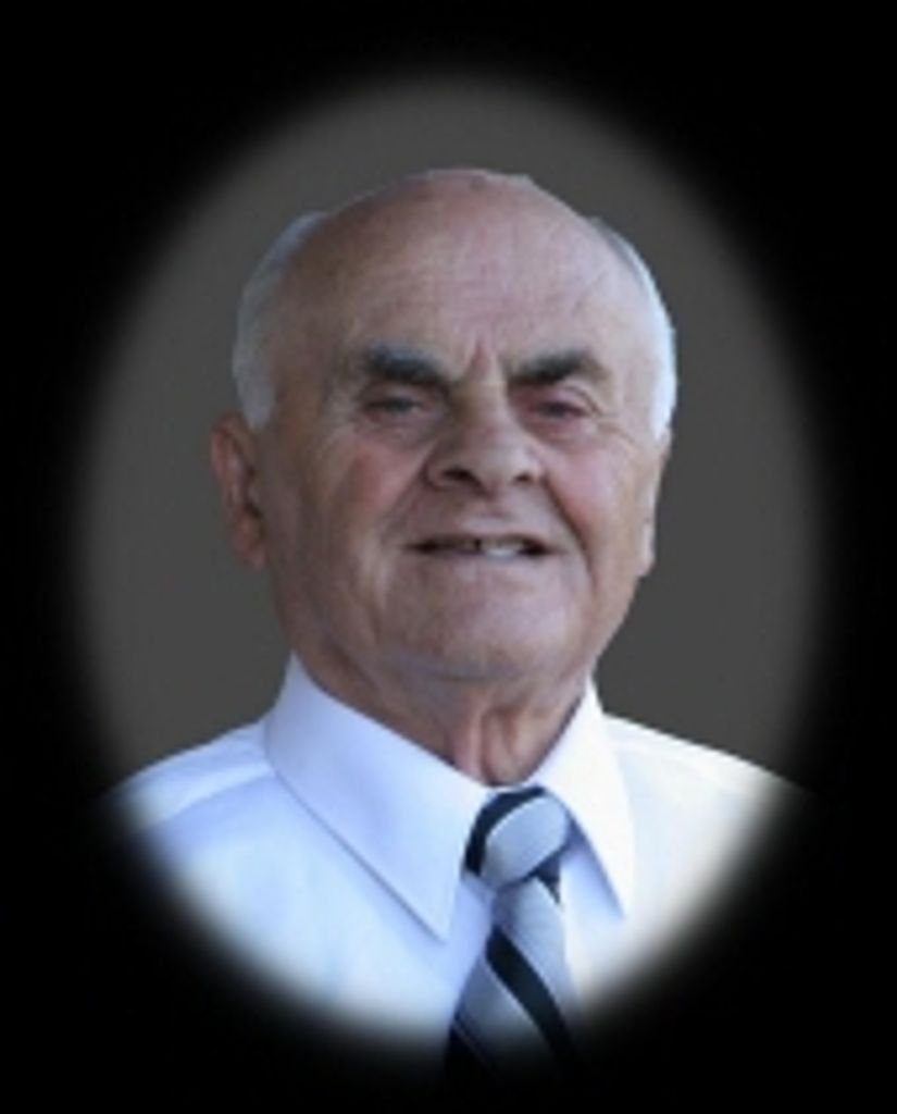 Donato Ricciuto Profile Photo