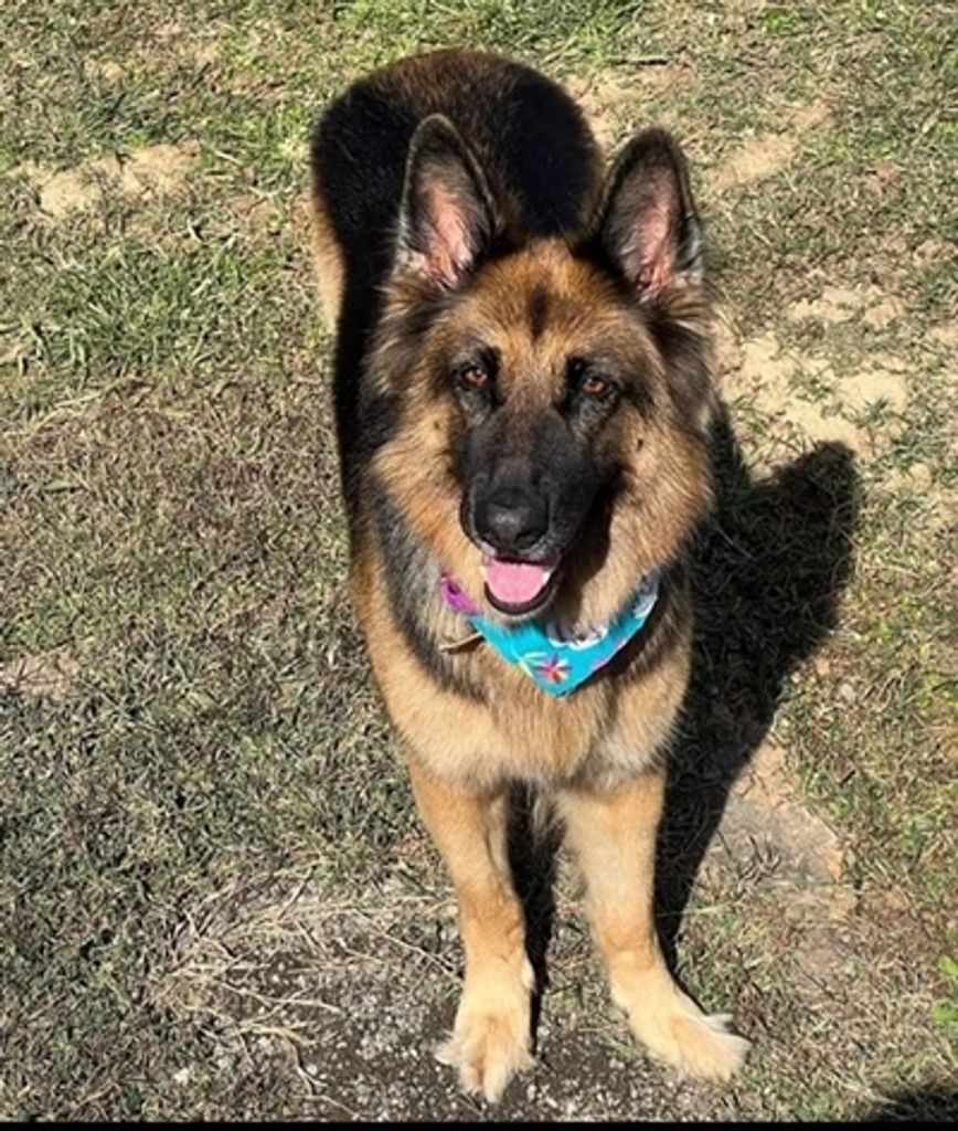 Zena Hunt Profile Photo