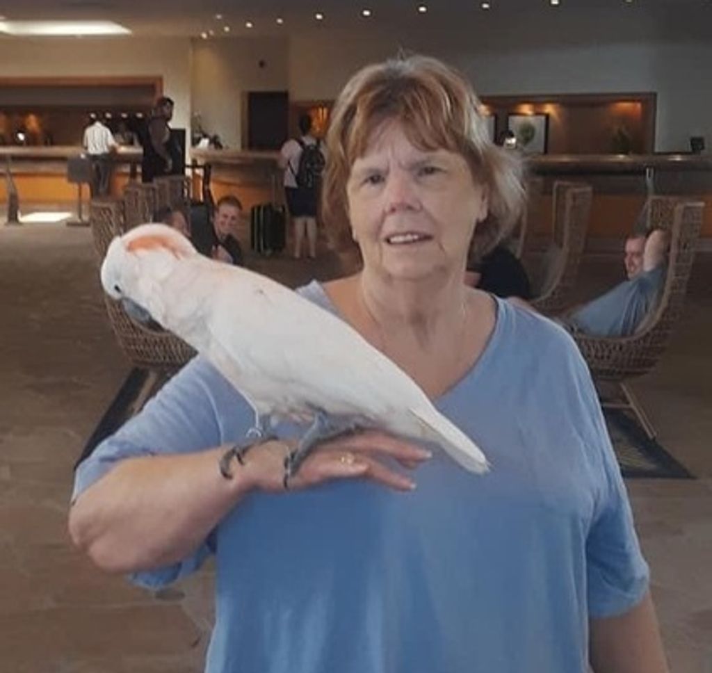 Colleen Evelyn Hamilton