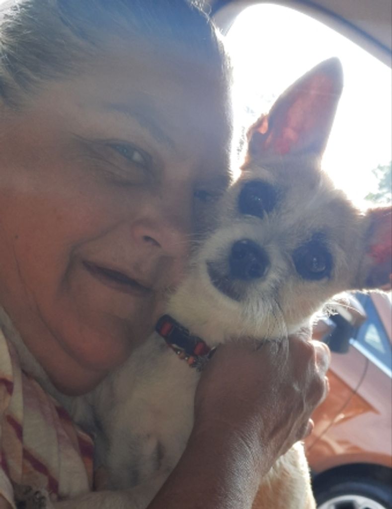 Elizabeth Ann Mahon Profile Photo