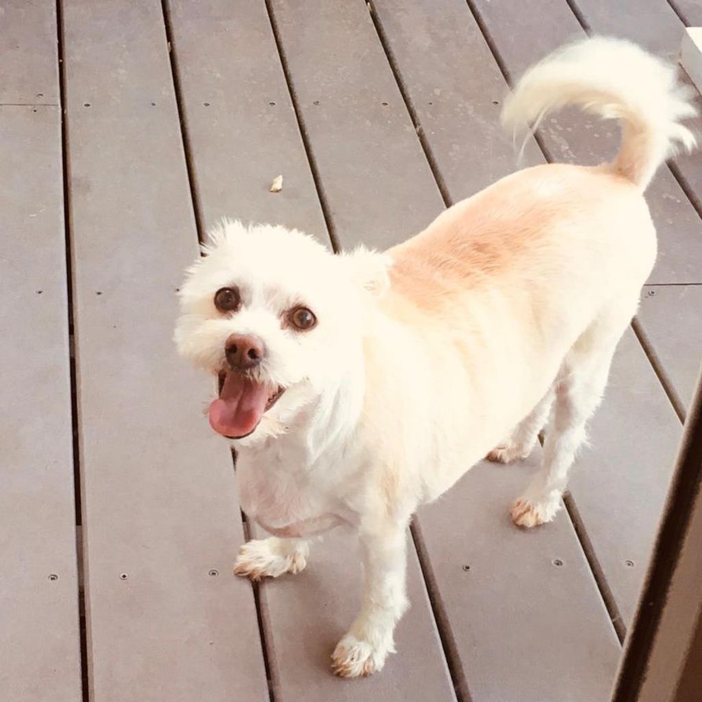 Keno Maceroni Profile Photo