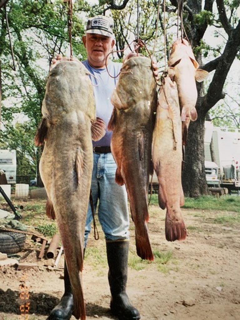 Ted Vance Profile Photo